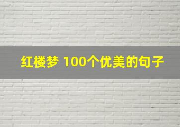 红楼梦 100个优美的句子